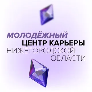 Правительством Нижегородской области совместно с Корпоративным университетом Правительства Нижегородской области реализуется проект «Молодежный центр карьеры Нижегородской области»