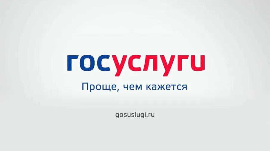 Нижегородцы теперь могут получить лицензию на перевозку пассажиров в автобусах через сайт госуслуг