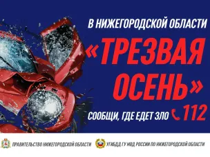 239 пьяных водителей задержали за неделю в Нижегородской области. 13 нетрезвых водителей были задержаны на основании информации, полученной от нижегородцев на телефон 112